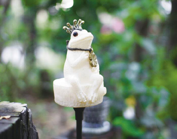 pomie_image3-min.jpg