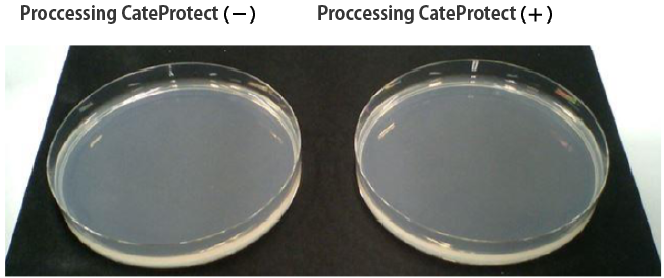 CateProtect processing | Anti-bacterial