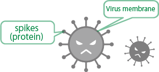 CateProtect feature diagram | Anti-bacterial