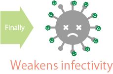 CateProtect feature diagram | Anti-bacterial