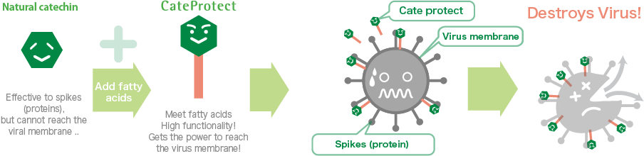 CateProtect feature diagram | Anti-bacterial