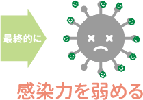 CateProtect（カテプロテクト）の特徴の図 | 抗菌